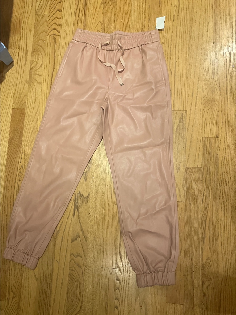 Cami NYC Rose Blush Faux Leather Joggers